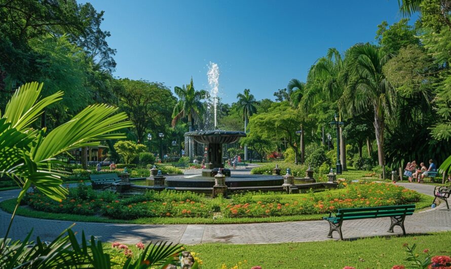 Quelles sont les caractéristiques d’un parc idéal ?